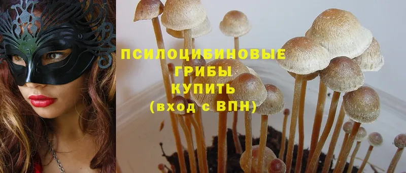 omg ONION  Белая Калитва  Галлюциногенные грибы Psilocybe 